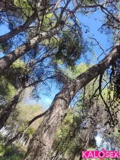 Επαγγελματικό μασαζ